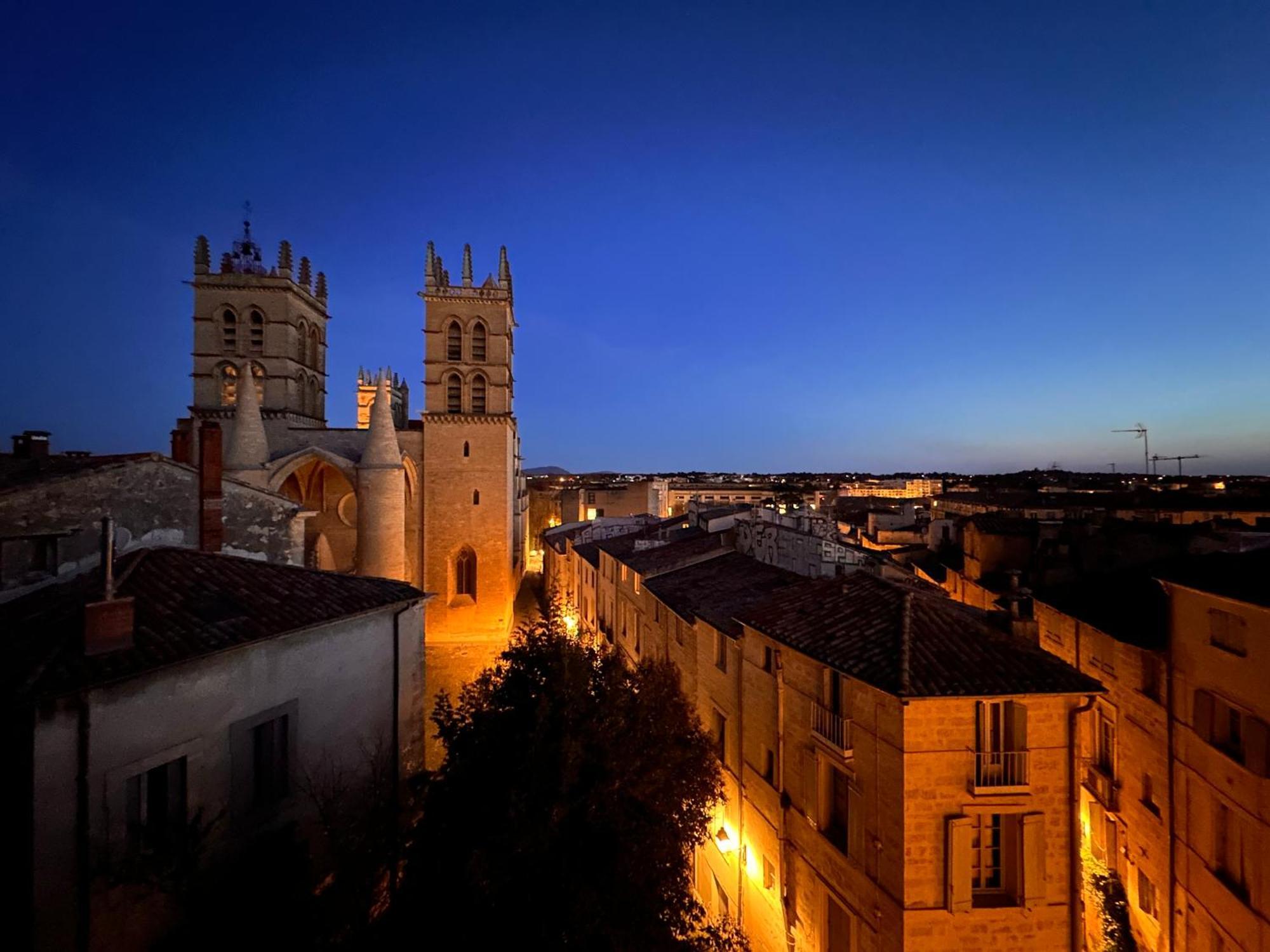 La Terrasse, Vue Sur Les Toits De Montpellier Apartment Екстериор снимка