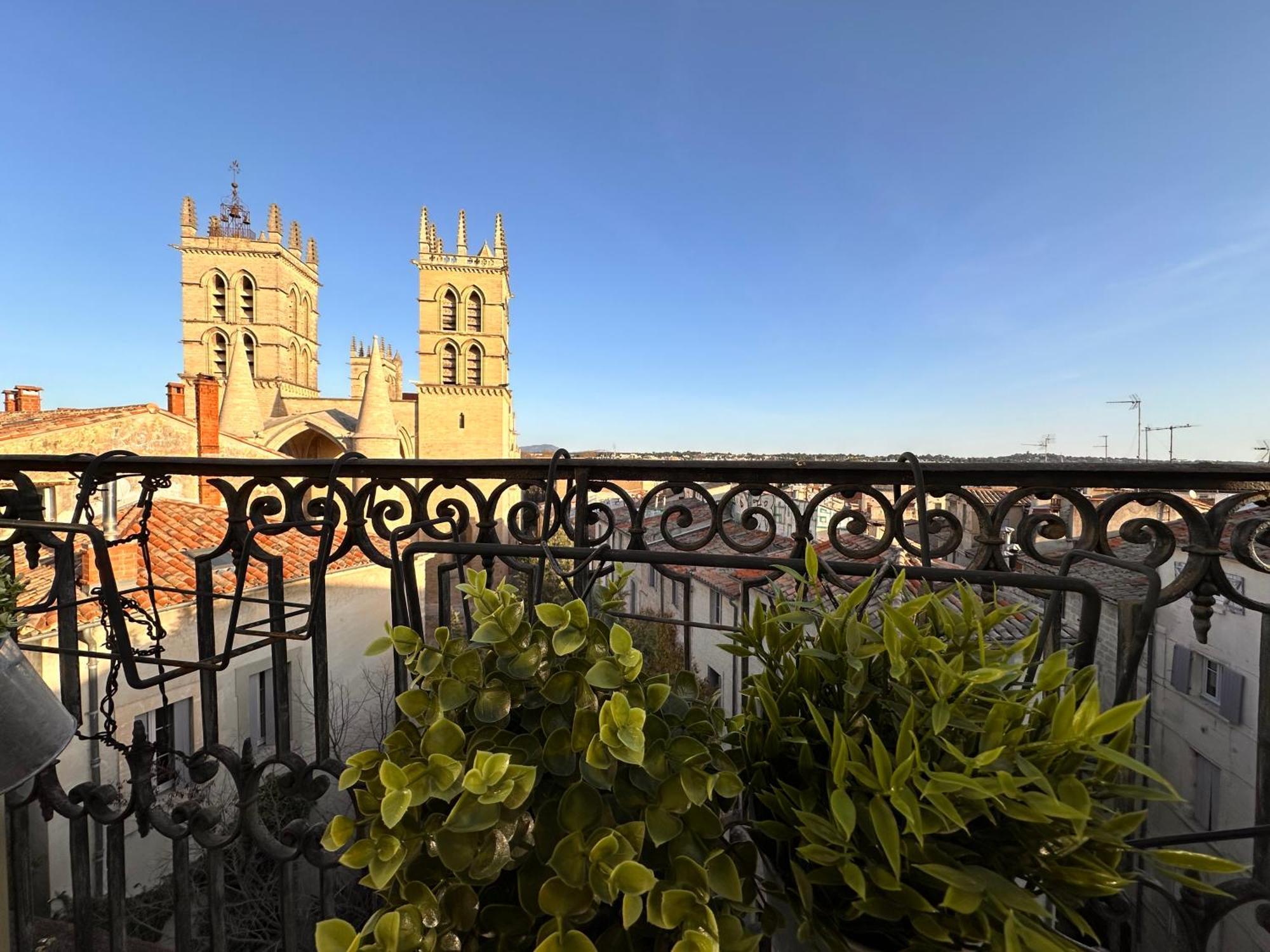 La Terrasse, Vue Sur Les Toits De Montpellier Apartment Екстериор снимка