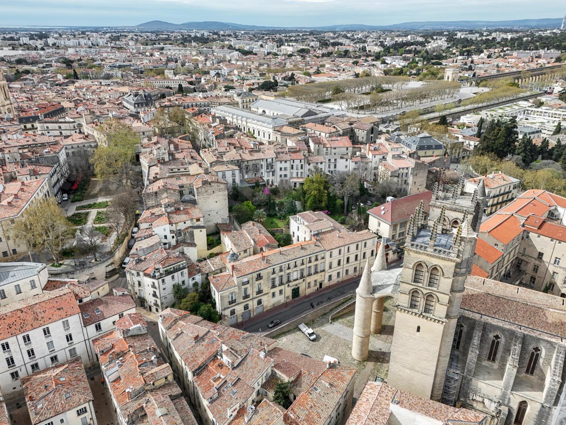 La Terrasse, Vue Sur Les Toits De Montpellier Apartment Екстериор снимка